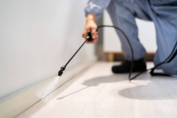 Licensed Pest Control service in Newport, SC - Show Me Pest Control