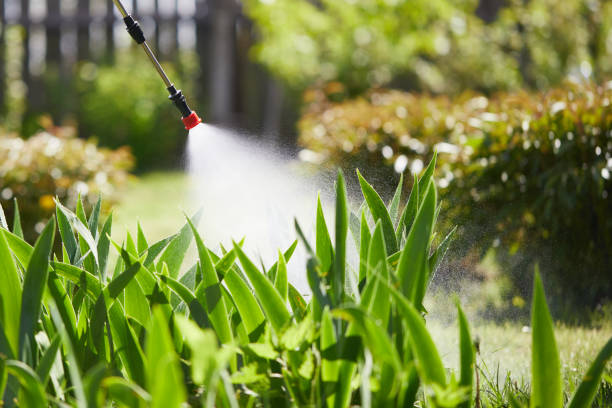 24/7 Emergency Mosquito Control experts in Newport, SC