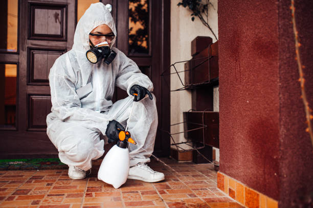 Reliable Mosquito Control contractor in Newport, SC by Show Me Pest Control